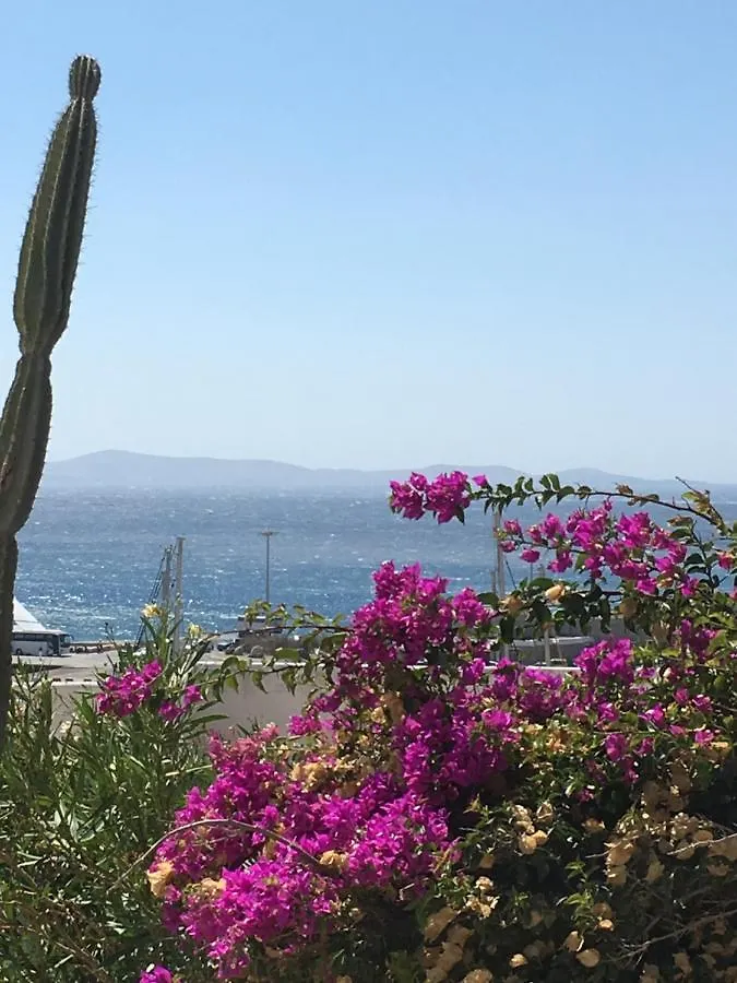 Σπίτι διακοπών Paradise Sunset Mykonos Βίλα Mykonos Town